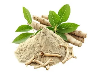 Tongkat Ali root and leaves